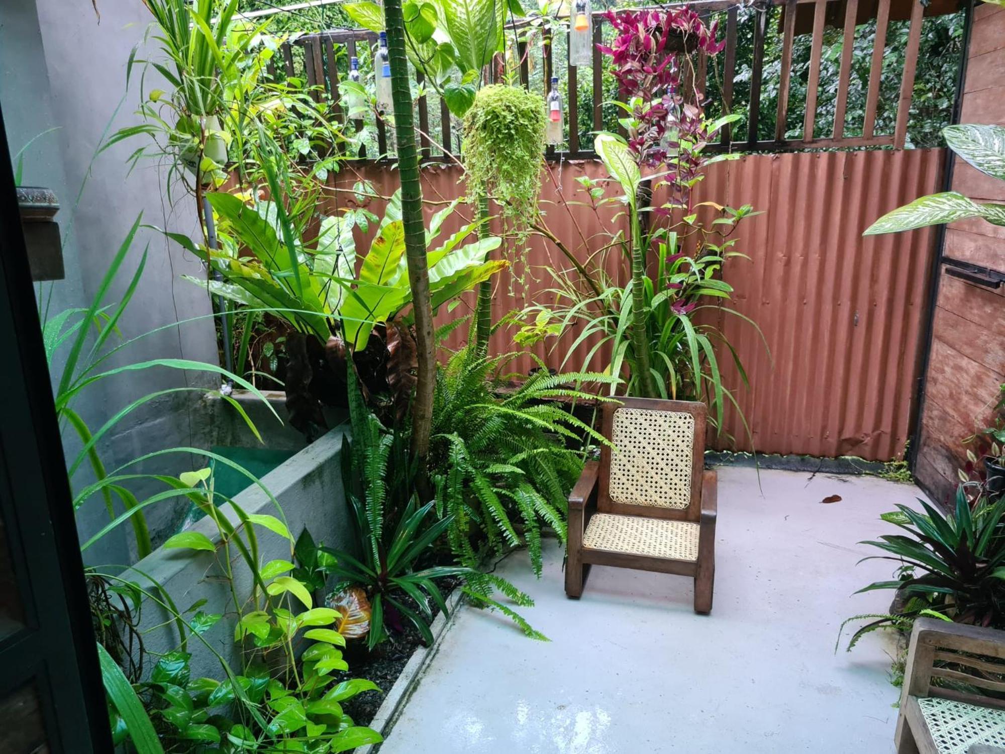La Pinchi " Pinchi'S Bed " Hotel Gampola Exterior foto